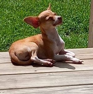 Meet your Posher, Sandra brinegar